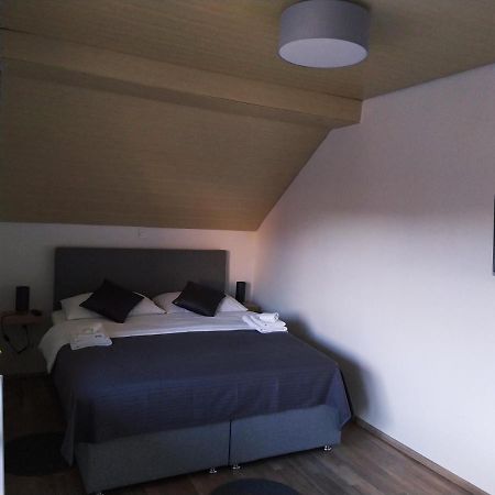 Apartment Trubarjeva33, Near Ljubljana, Free Parking Velike Lasce Exterior foto